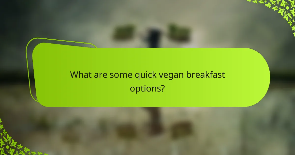 What are some quick vegan breakfast options?